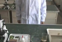 实验视频,揭秘科学奥秘的瞬间